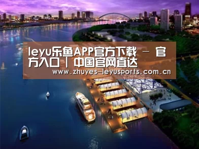 案例展示八