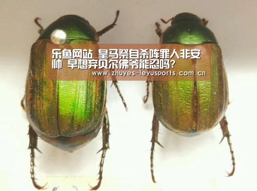 乐鱼网站