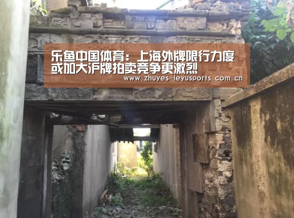 乐鱼LEYU