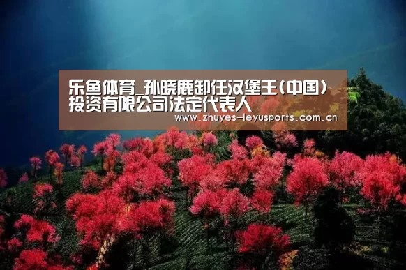 乐鱼体育_孙晓鹿卸任汉堡王(中国)投资有限公司法定代表人(图2) 乐鱼中国体育