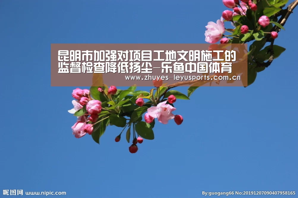 乐鱼网站