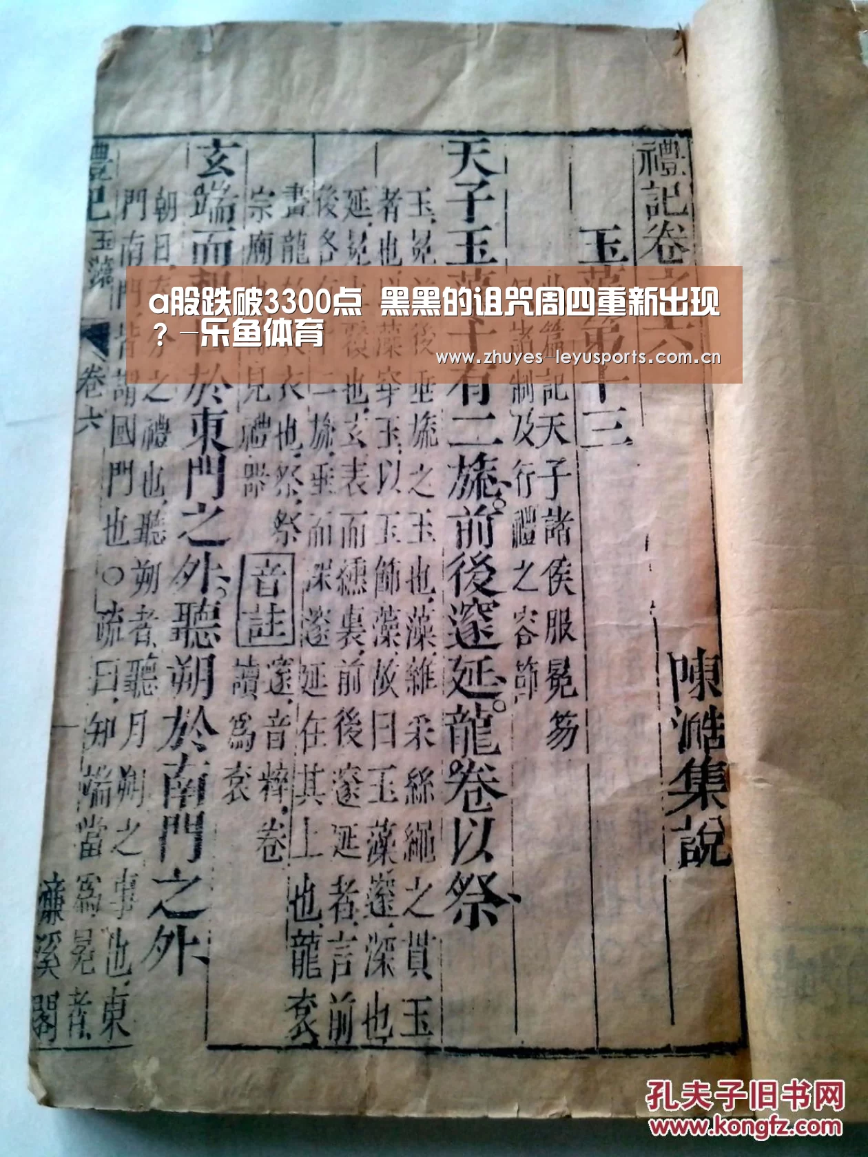 乐鱼网站