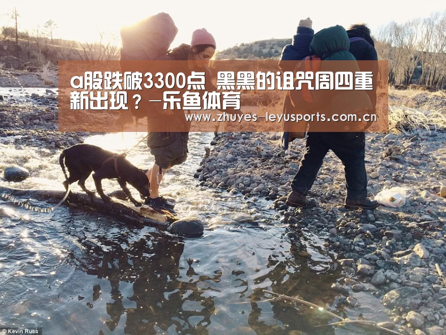 乐鱼网站