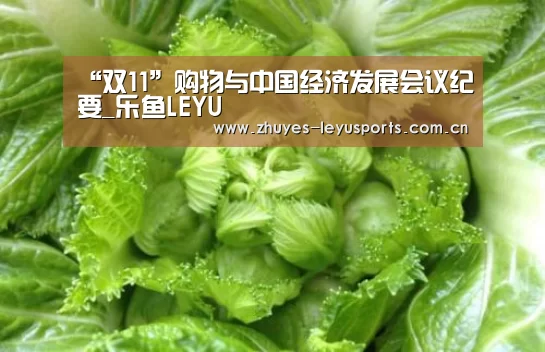 “双11”购物与中国经济发展会议纪要_乐鱼LEYU(图2) 乐鱼网站