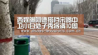 乐鱼网站
