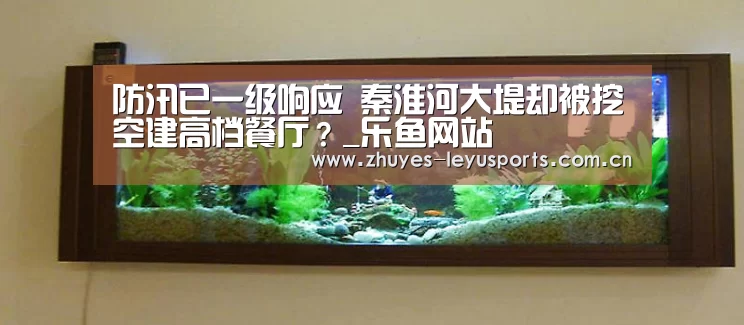 乐鱼LEYU