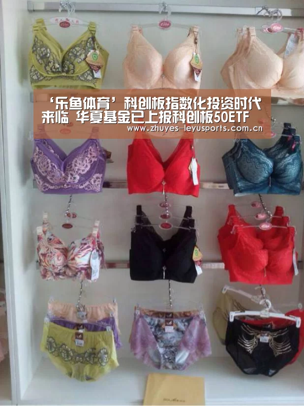 ‘乐鱼体育’科创板指数化投资时代来临 华夏基金已上报科创板50ETF(图1) 乐鱼LEYU