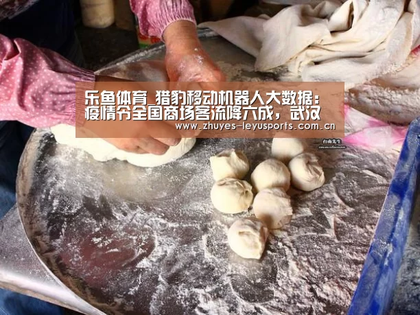 乐鱼网站
